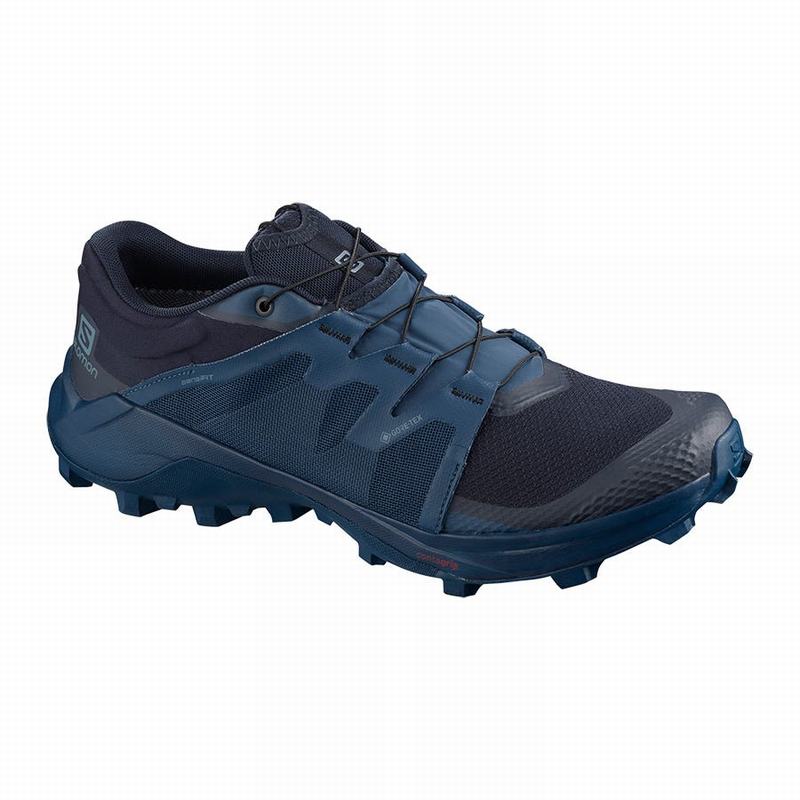 Zapatillas Trail Running Salomon Hombre Azul Marino - Salomon Argentina WILDCROSS GTX ,391257-RHI